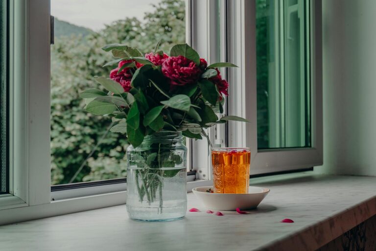 How to Refresh Your Home with Plants: Easy Tips for a Greener Space